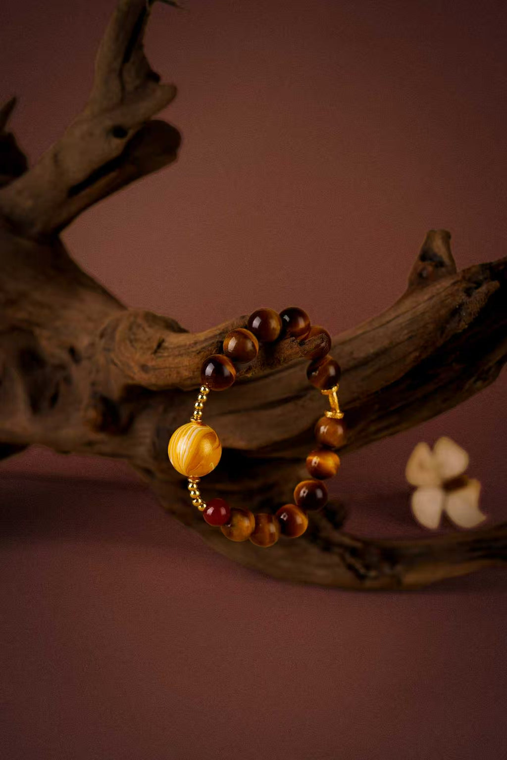 Terra Firma Collection ｜Bounty